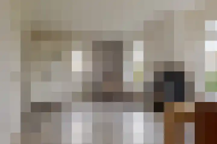 Veldstreek 17 Zevenhuizen thumbnail 69