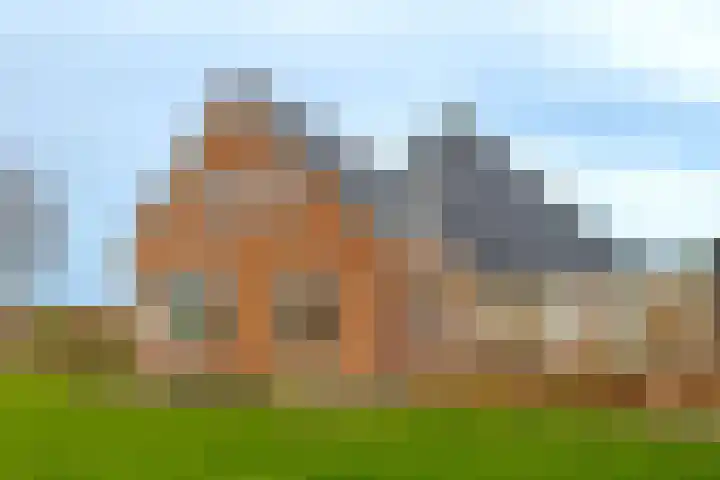 Veldstreek 17 Zevenhuizen thumbnail 7