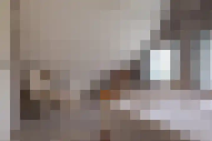 Veldstreek 17 Zevenhuizen thumbnail 78