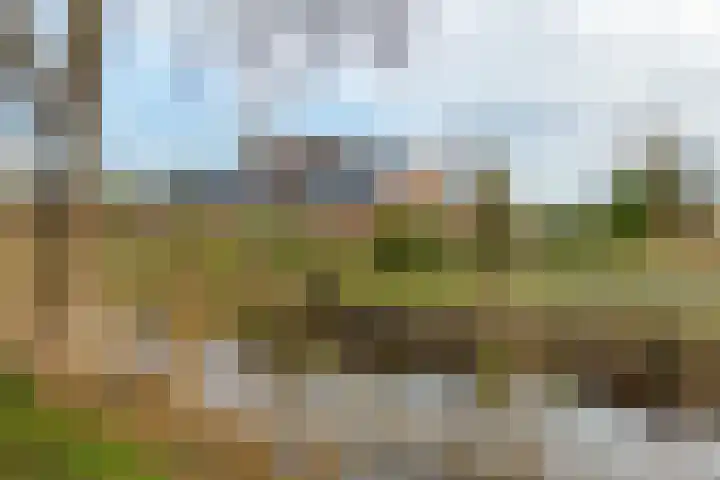 Veldstreek 17 Zevenhuizen thumbnail 8