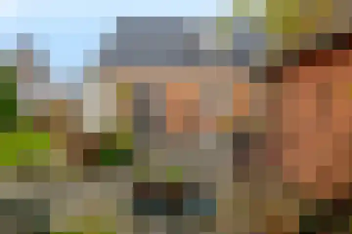 Veldstreek 17 Zevenhuizen thumbnail 82
