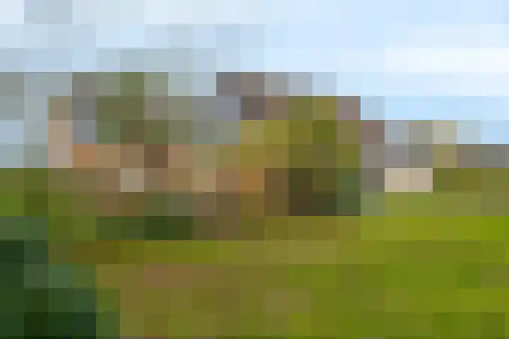 Veldstreek 17 Zevenhuizen thumbnail 83