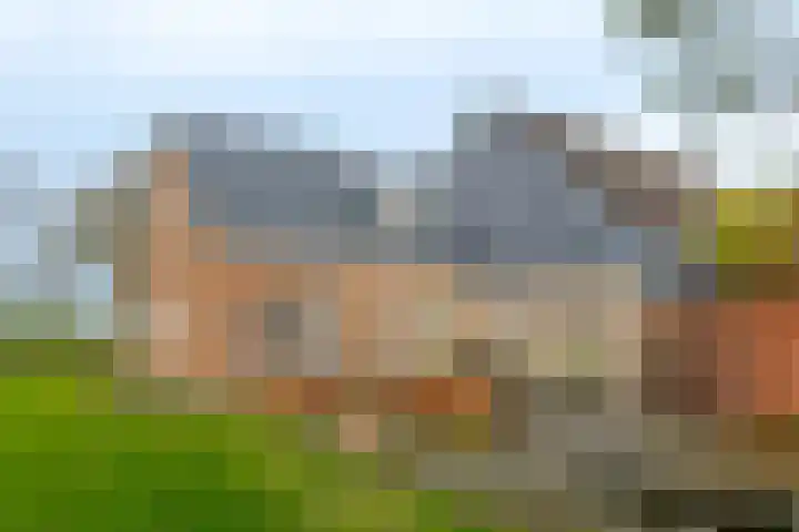Veldstreek 17 Zevenhuizen thumbnail 84