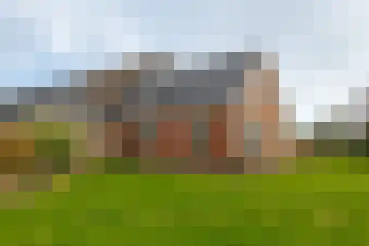Veldstreek 17 Zevenhuizen thumbnail 85