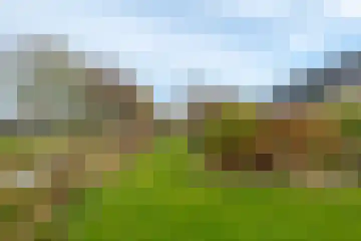 Veldstreek 17 Zevenhuizen thumbnail 86