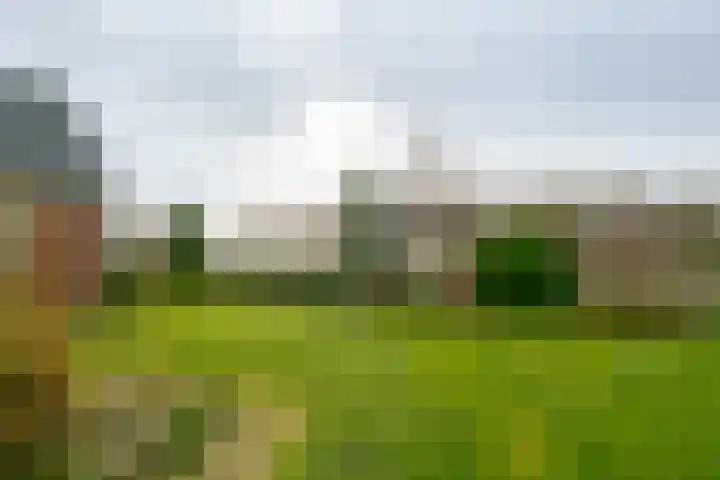 Veldstreek 17 Zevenhuizen thumbnail 87