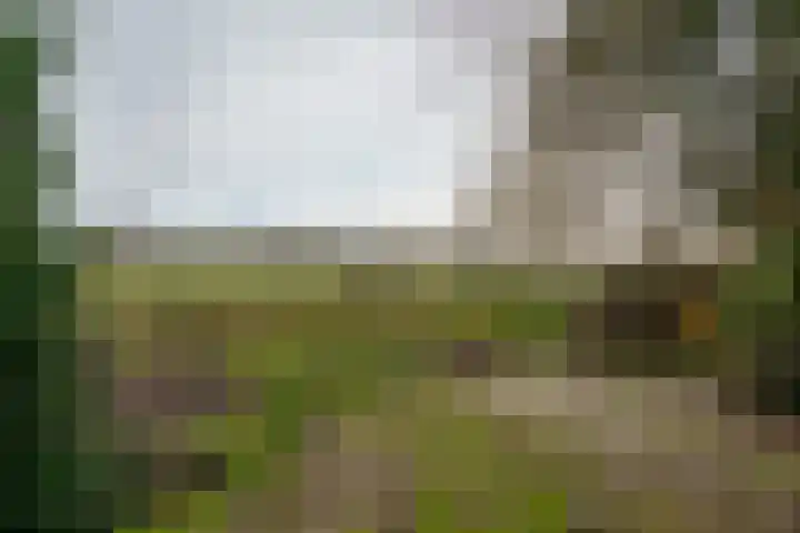Veldstreek 17 Zevenhuizen thumbnail 88