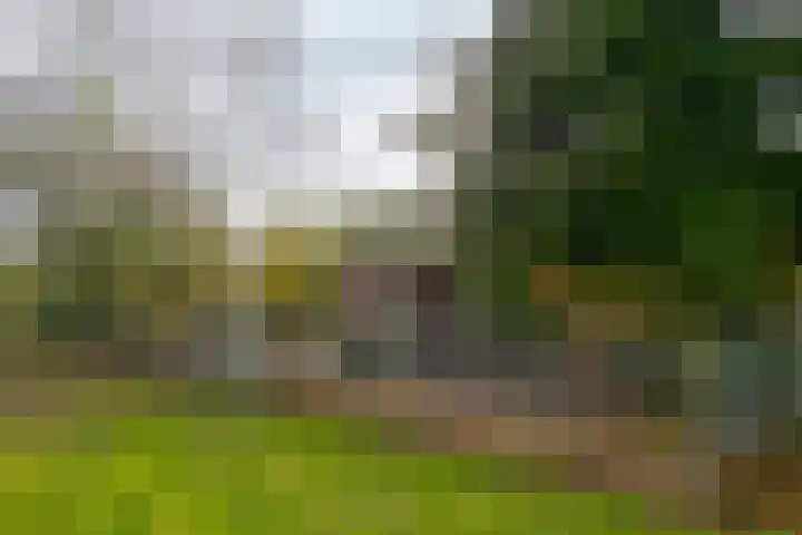 Veldstreek 17 Zevenhuizen thumbnail 89