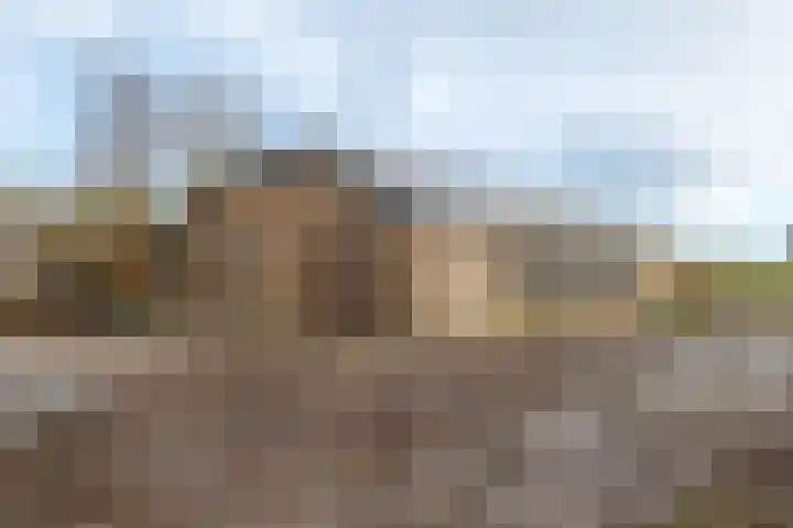 Veldstreek 17 Zevenhuizen thumbnail 91