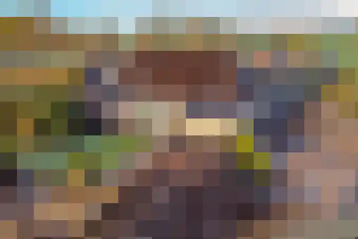 Veldstreek 17 Zevenhuizen thumbnail 93
