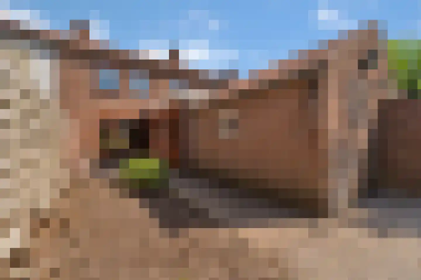 Veldsweg 19 Nijverdal thumbnail 19
