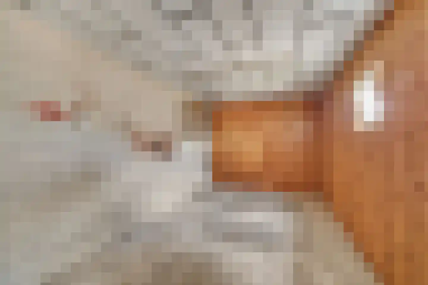 Veldsweg 19 Nijverdal thumbnail 7
