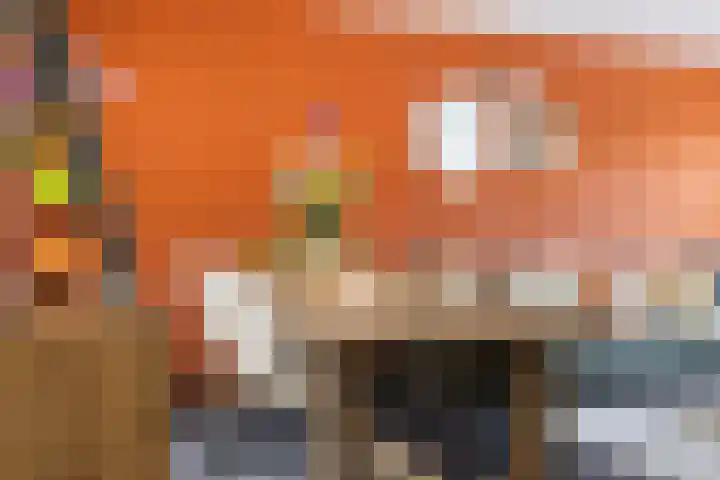 Veldsweg 92 Nijverdal thumbnail 10