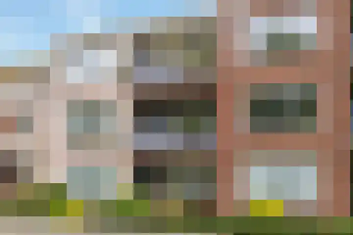 Velduil 11 en Raalte