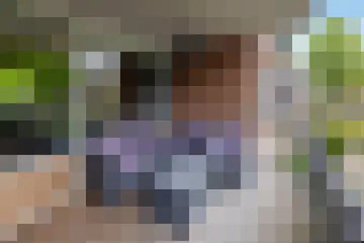 Velduil 11 Raalte thumbnail 11