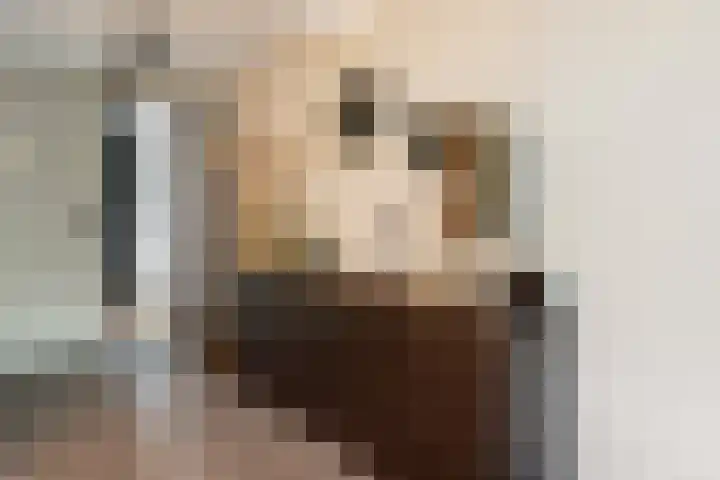 Velduil 11 Raalte thumbnail 13