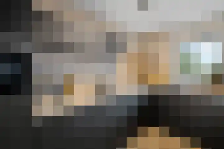 Velduil 11 Raalte thumbnail 14