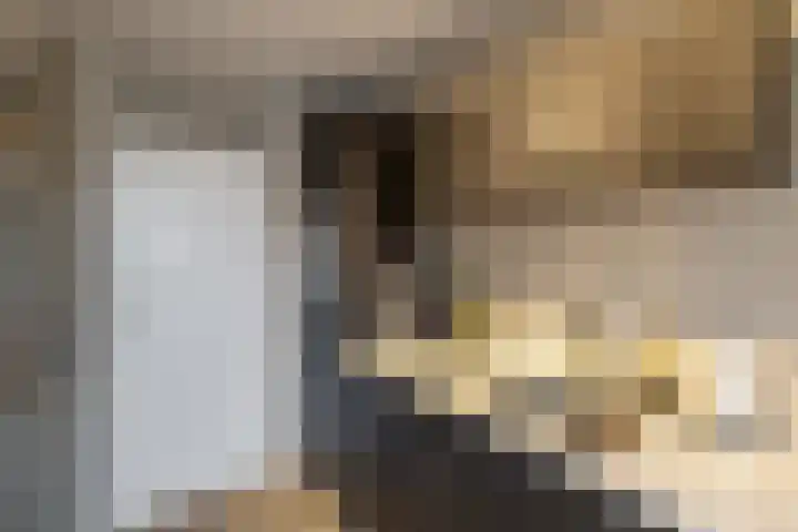 Velduil 11 Raalte thumbnail 15