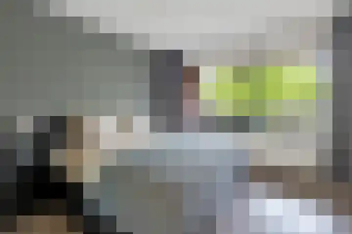 Velduil 11 Raalte thumbnail 16