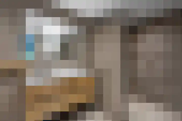 Velduil 11 Raalte thumbnail 19
