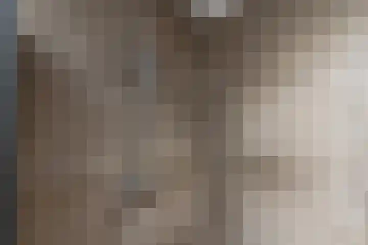 Velduil 11 Raalte thumbnail 21