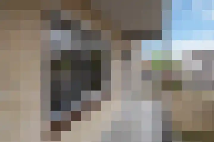 Velduil 11 Raalte thumbnail 23