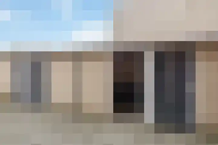 Velduil 11 Raalte thumbnail 24