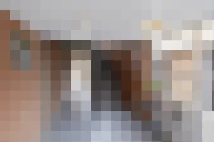 Velduil 11 Raalte thumbnail 26