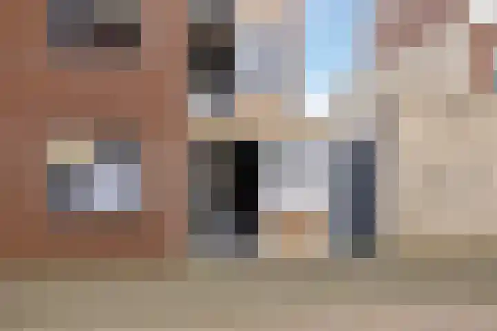 Velduil 11 Raalte thumbnail 27