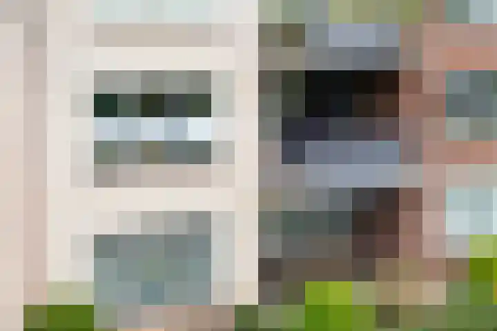 Velduil 11 Raalte thumbnail 4