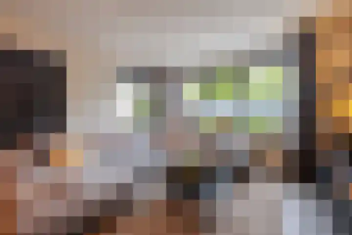 Velduil 11 Raalte thumbnail 5