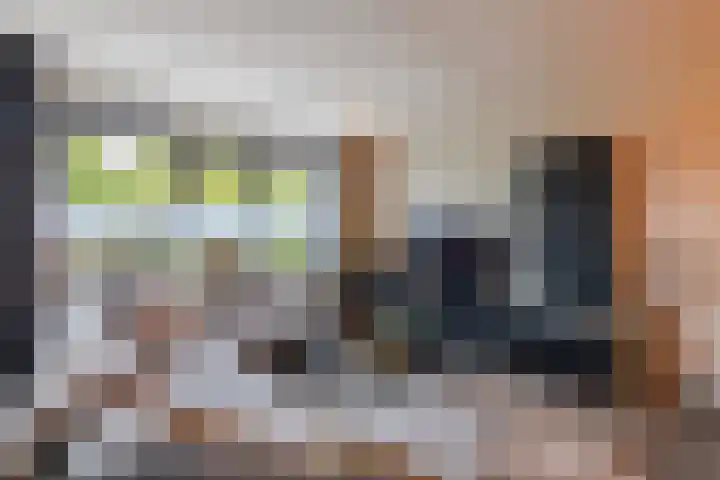 Velduil 11 Raalte thumbnail 6