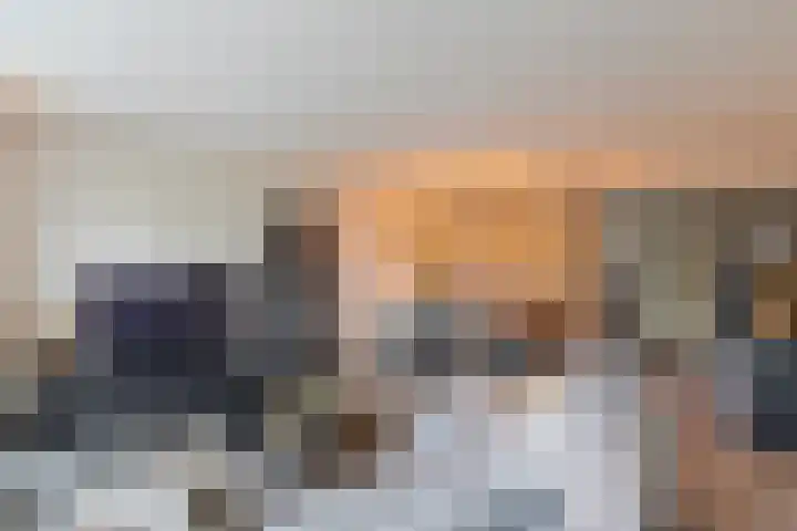 Velduil 11 Raalte thumbnail 7