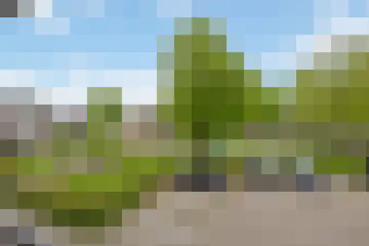 Velduil 11 Raalte thumbnail 8