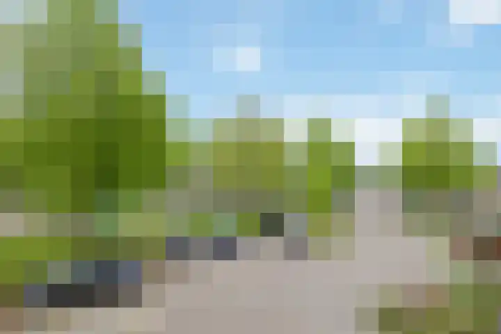 Velduil 11 Raalte thumbnail 9