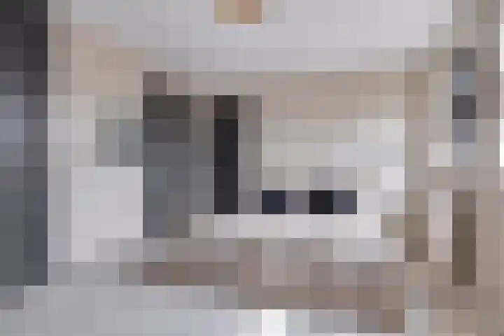 Velduil 13 Bunschoten-Spakenburg thumbnail 37