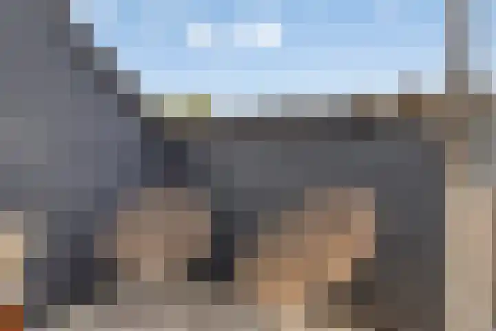 Velduil 13 Bunschoten-Spakenburg thumbnail 39
