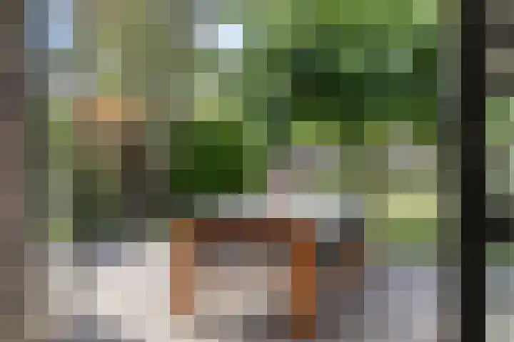 Velduil 13 Bunschoten-Spakenburg thumbnail 48