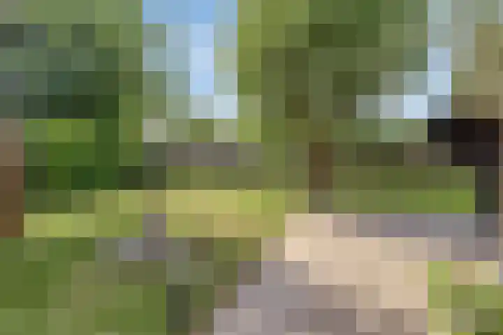 Velduil 13 Bunschoten-Spakenburg thumbnail 51
