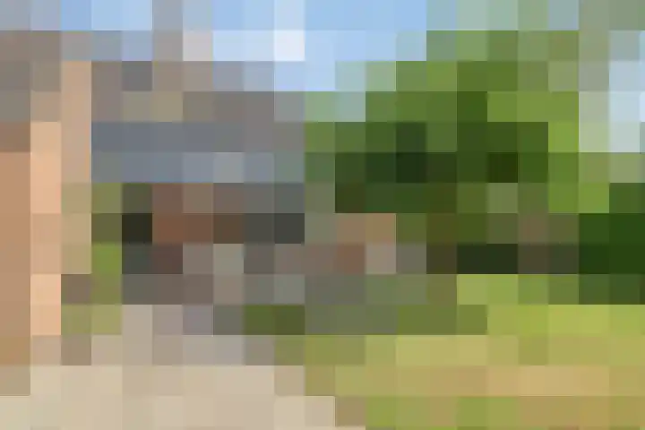 Velduil 13 Bunschoten-Spakenburg thumbnail 52