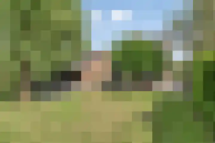 Velduil 13 Bunschoten-Spakenburg thumbnail 53