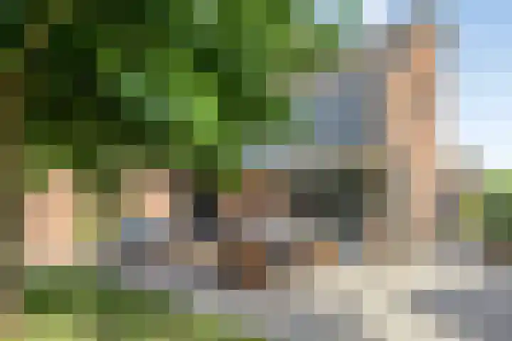 Velduil 13 Bunschoten-Spakenburg thumbnail 54