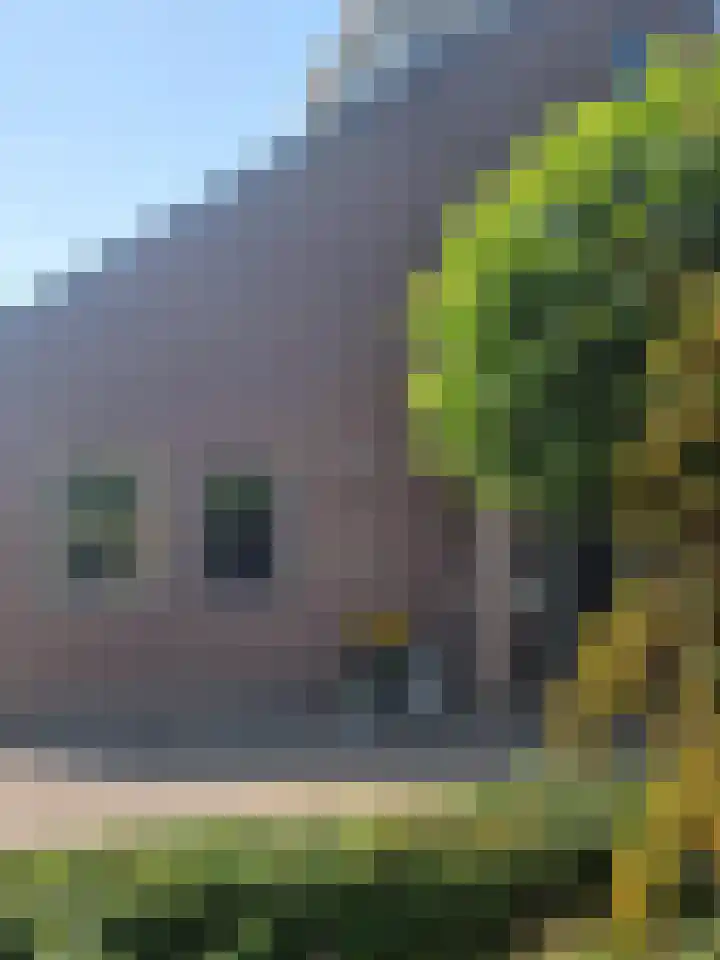 Velduil 13 Bunschoten-Spakenburg thumbnail 58