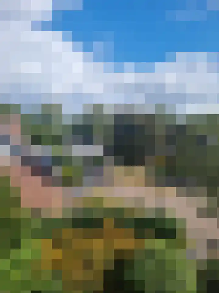 Velduil 13 Bunschoten-Spakenburg thumbnail 62