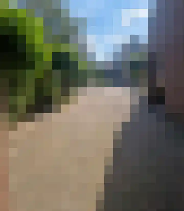 Velduil 13 Bunschoten-Spakenburg thumbnail 63