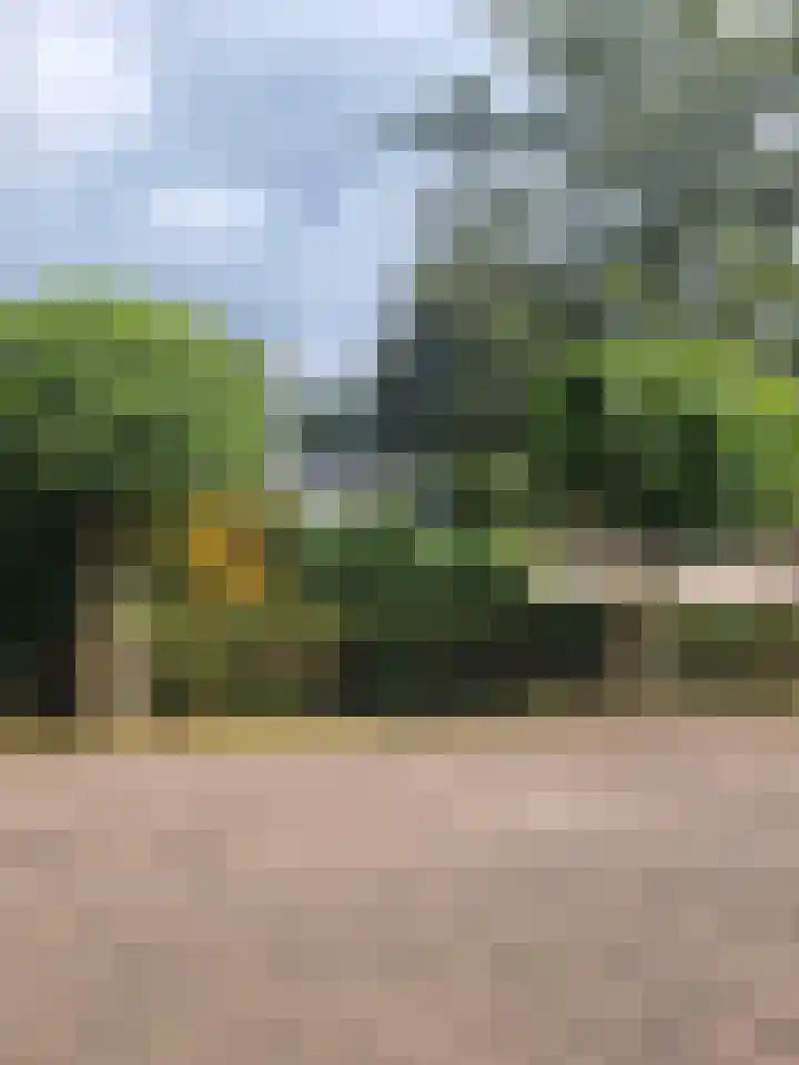 Velduil 13 Bunschoten-Spakenburg thumbnail 64