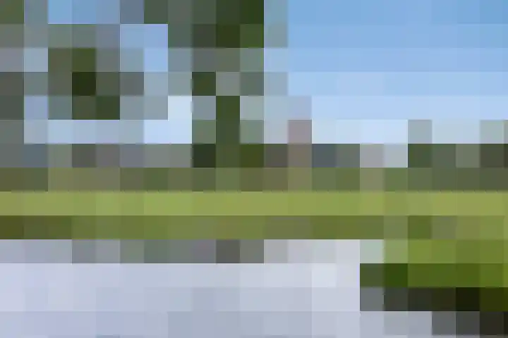 Velduil 13 Bunschoten-Spakenburg thumbnail 65