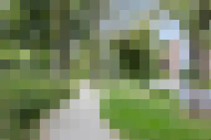 Velduil 13 Bunschoten-Spakenburg thumbnail 66