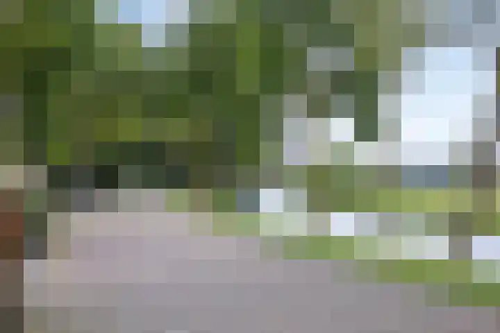 Velduil 13 Bunschoten-Spakenburg thumbnail 67