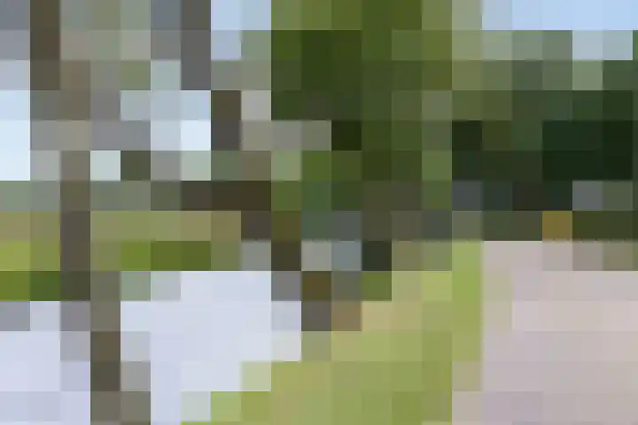 Velduil 13 Bunschoten-Spakenburg thumbnail 68